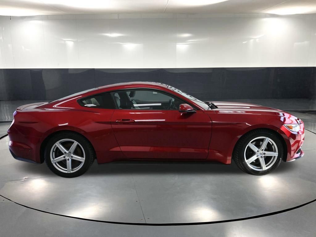 Used 2015 Ford Mustang Premium RWD image 4