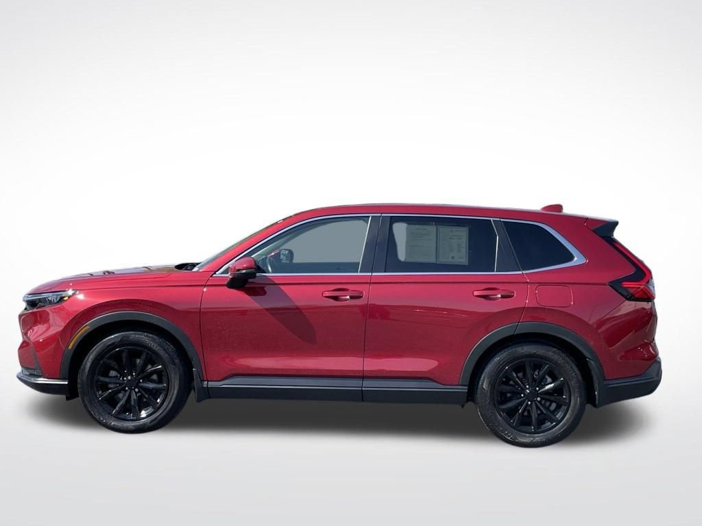 Certified 2025 Honda CR-V EX-L image 2