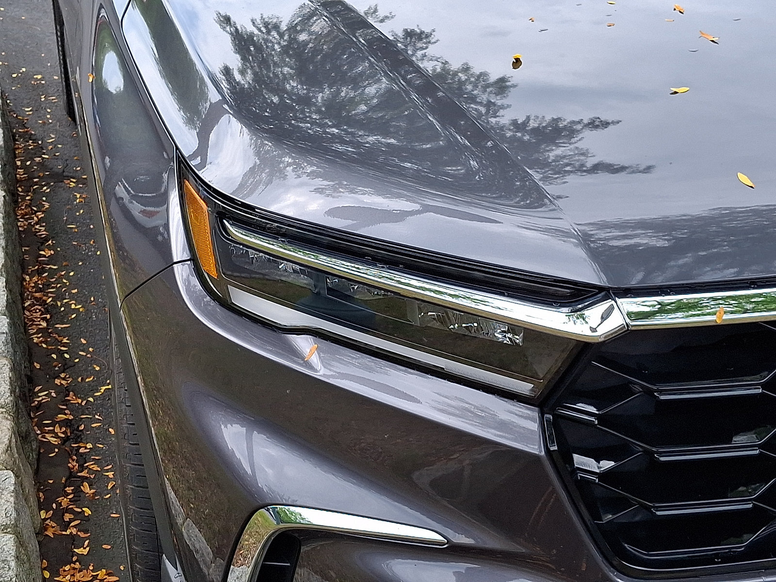 Certified 2025 Honda Pilot Elite image 8