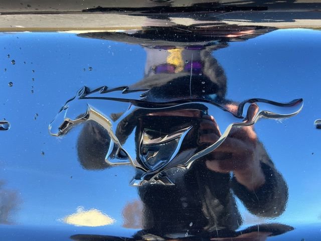 Certified 2019 Ford Mustang Premium w/ Equipment Group 201A image 43