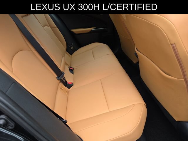 Used 2025 Lexus UX 300h FWD w/ Cold Area Package image 13