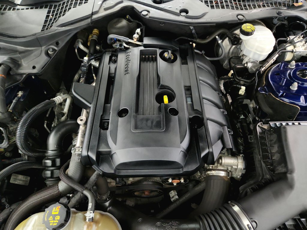 Used 2019 Ford Mustang Coupe RWD image 29