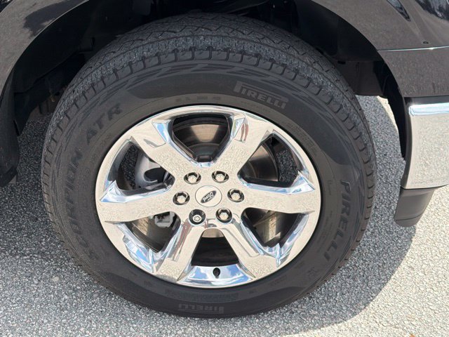 Used 2023 Ford F150 XLT w/ Equipment Group 302A High AWD/4WD image 10