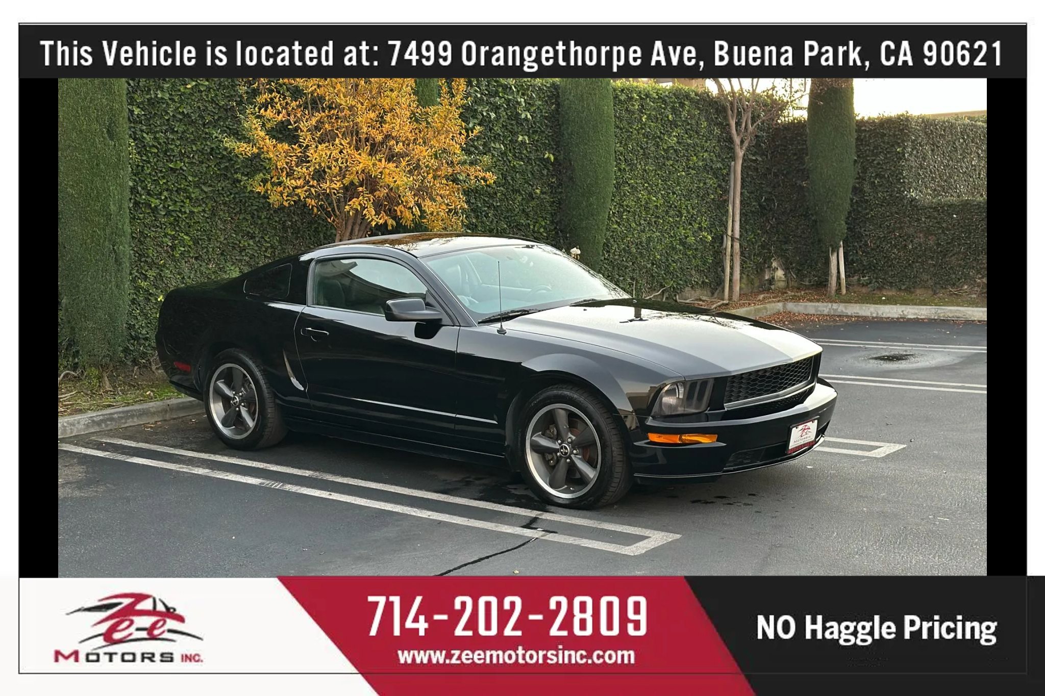 Used 2009 Ford Mustang GT Premium image 3
