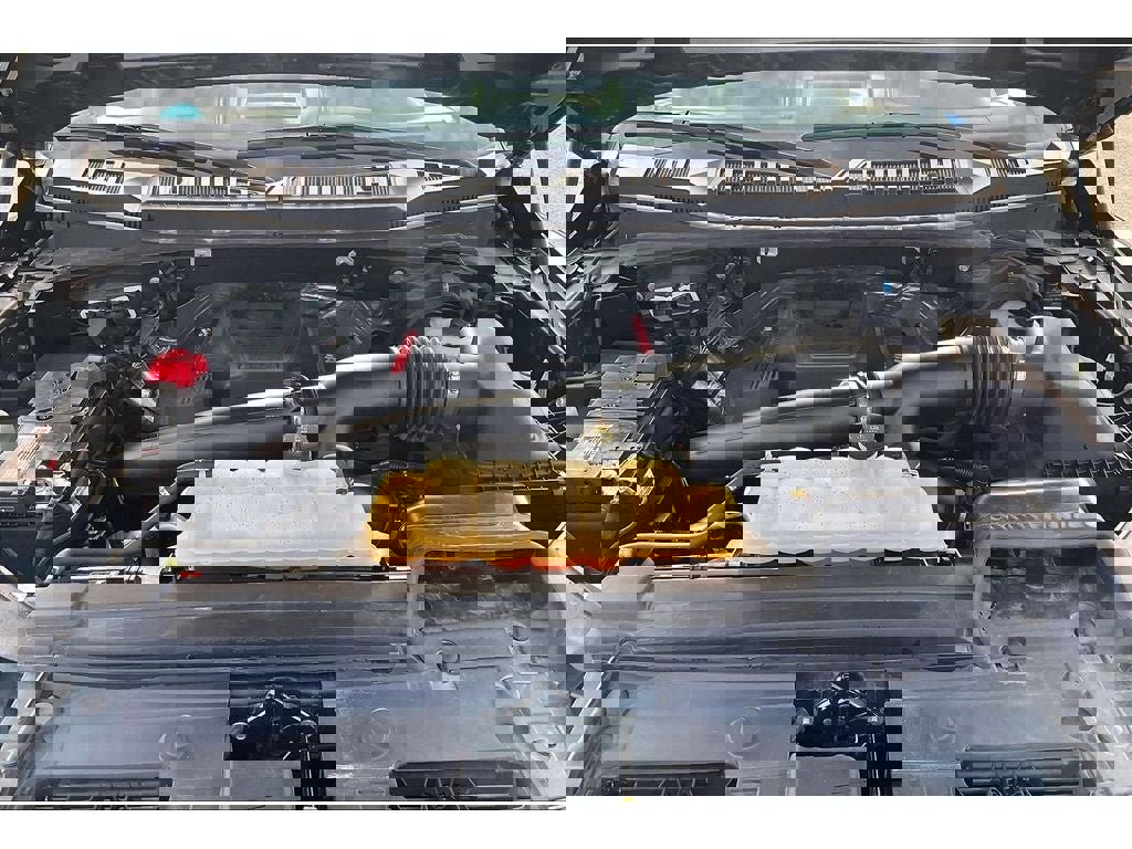 Used 2019 Ford F150 Raptor w/ Equipment Group 802A Luxury image 12