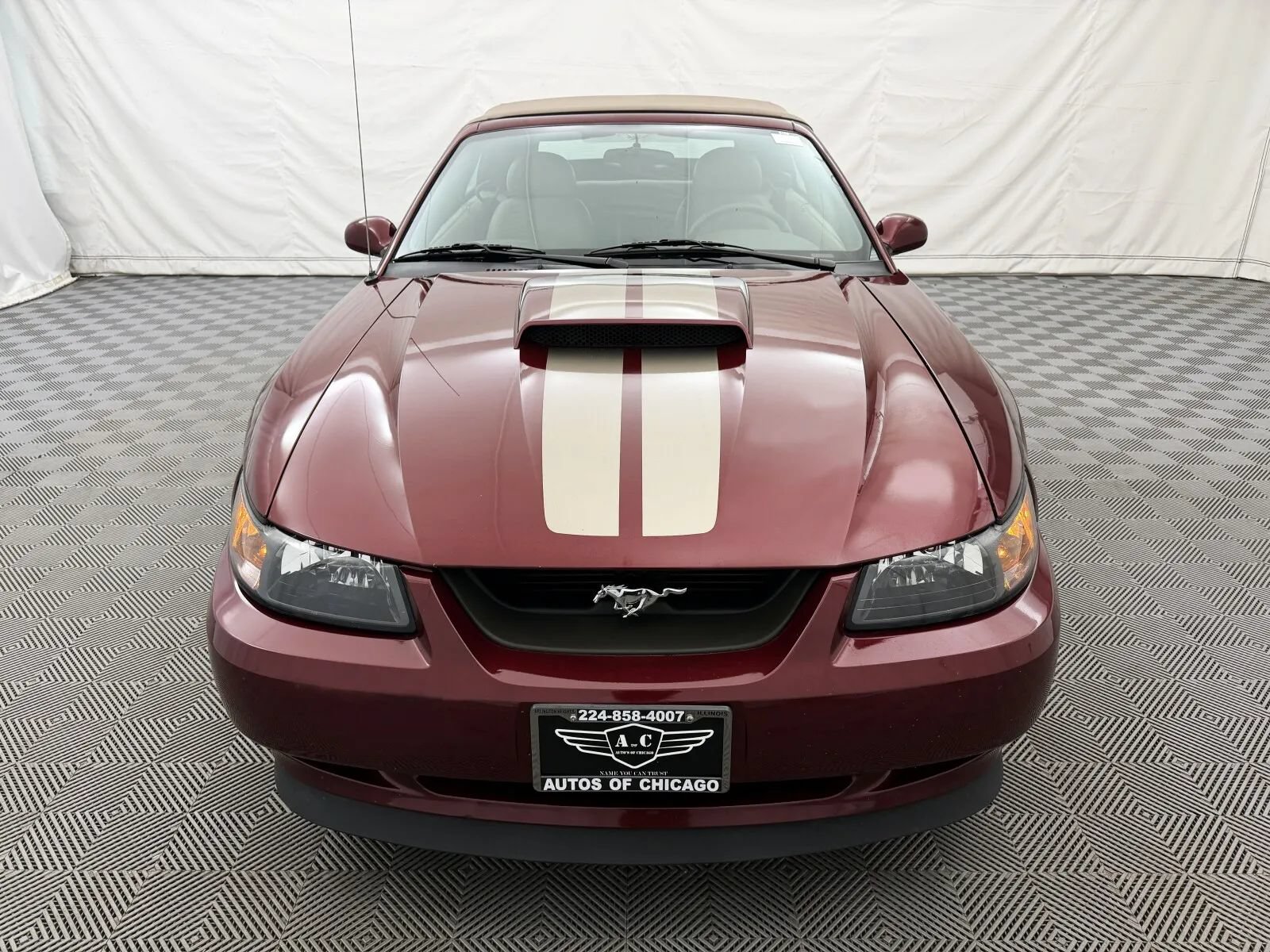 Used 2004 Ford Mustang GT RWD image 3