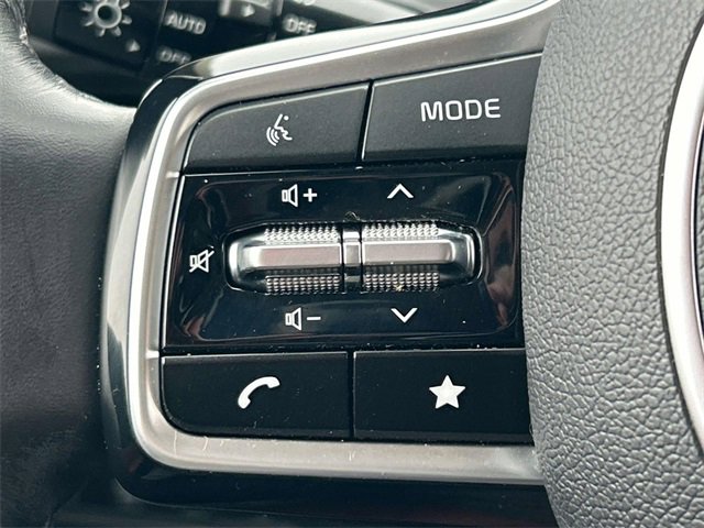 Used 2023 Kia Carnival SX image 29