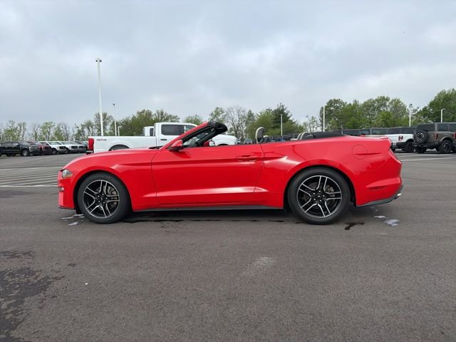 Used 2020 Ford Mustang Premium RWD image 18