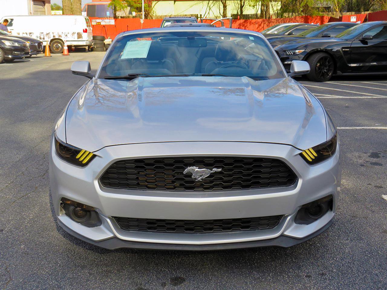 Used 2017 Ford Mustang Premium image 6