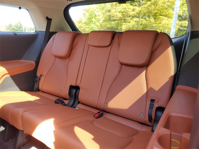 New 2026 Kia Carnival SX Prestige image 10