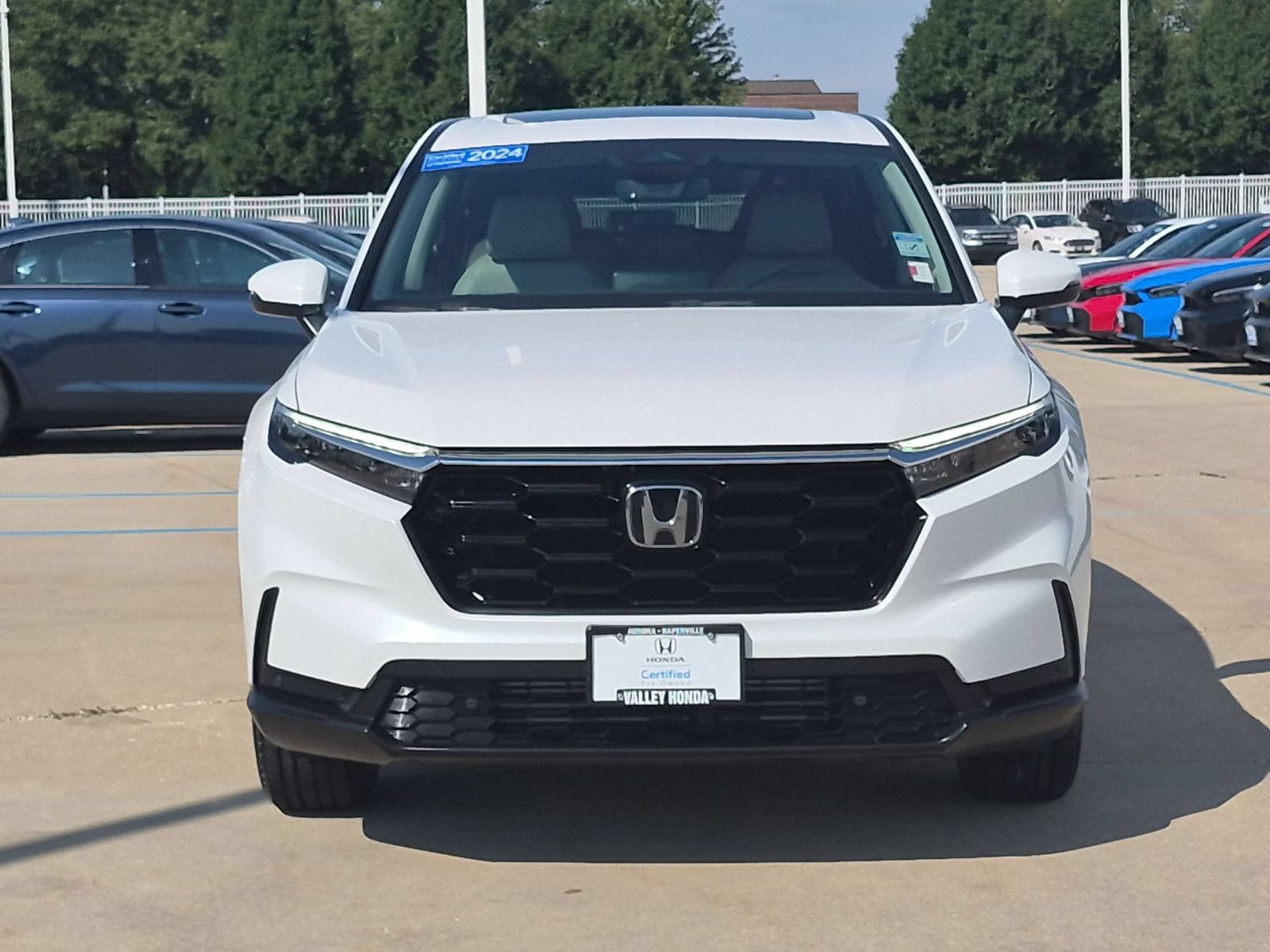 Certified 2024 Honda CR-V EX-L image 4