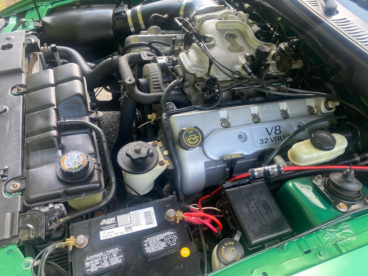 Used 1999 Ford Mustang Cobra RWD image 37