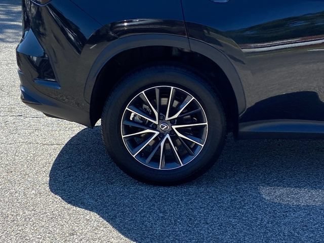 Certified 2025 Lexus NX 350 AWD w/ Cold Area Package image 10