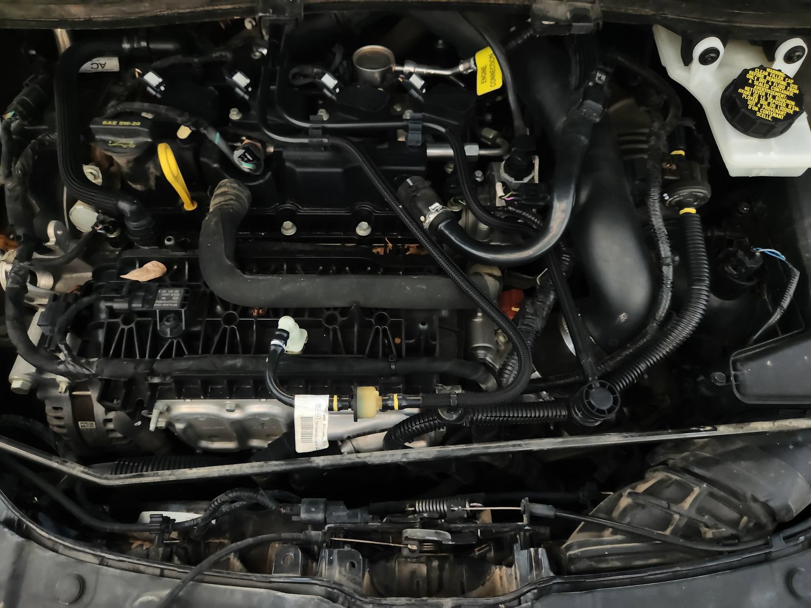 Used 2019 Ford Escape SE FWD image 33
