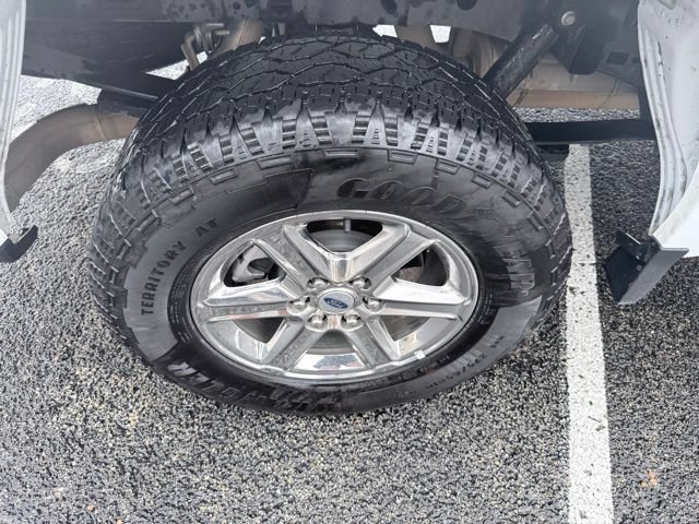 Used 2025 Ford F150 XLT w/ Equipment Group 301A Standard AWD/4WD image 16