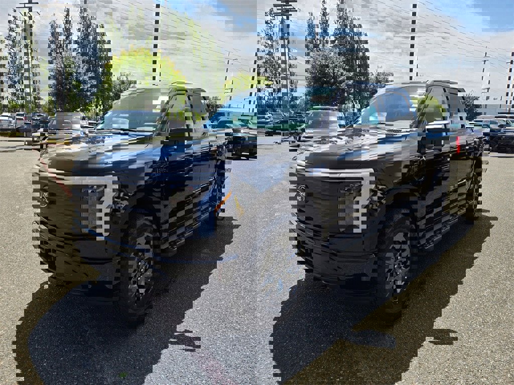 New 2025 Ford F150 Lightning Flash