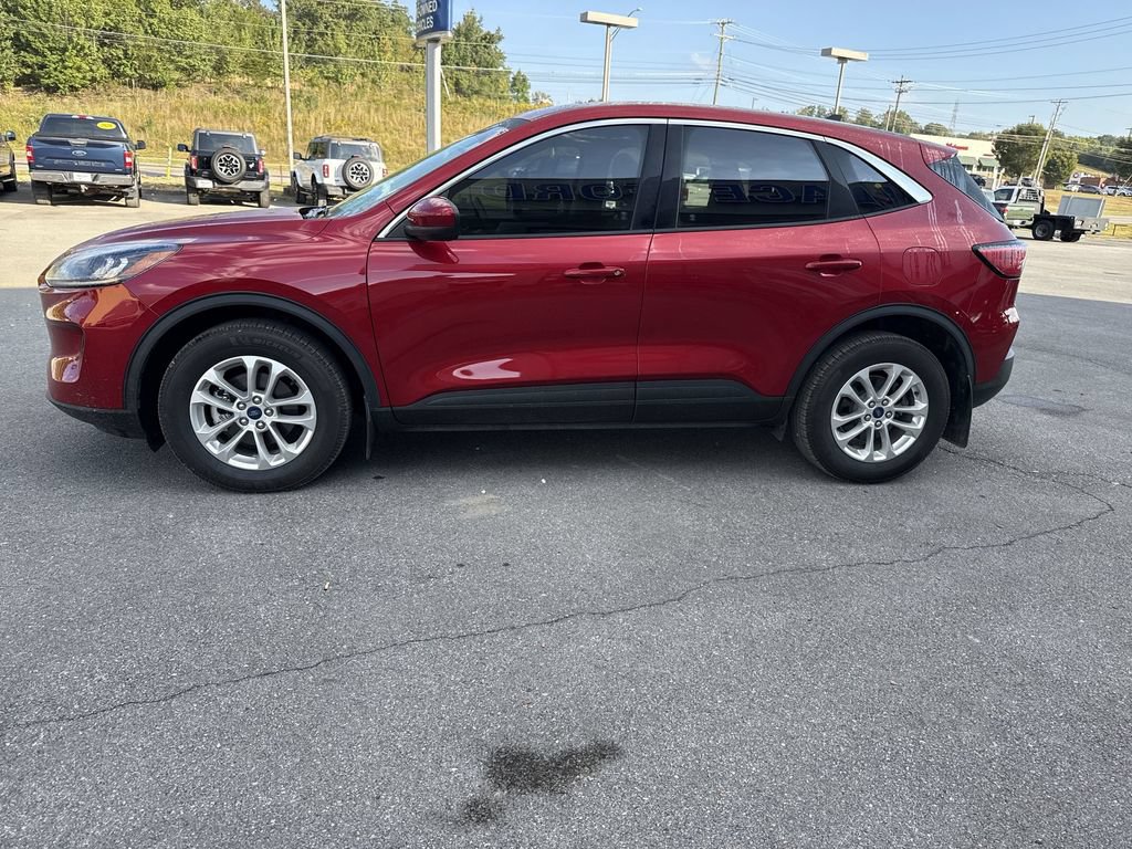 Used 2020 Ford Escape SE AWD/4WD image 3