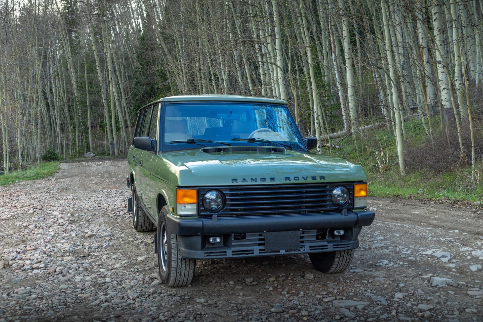 Used 1995 Land Rover Range Rover County AWD/4WD image 31