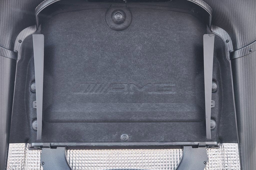 Used 2021 Mercedes-Benz AMG GT Black Series image 31