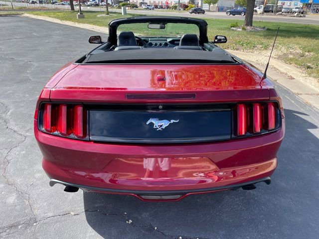 Used 2016 Ford Mustang Premium w/ Ecoboost Performance Package image 5