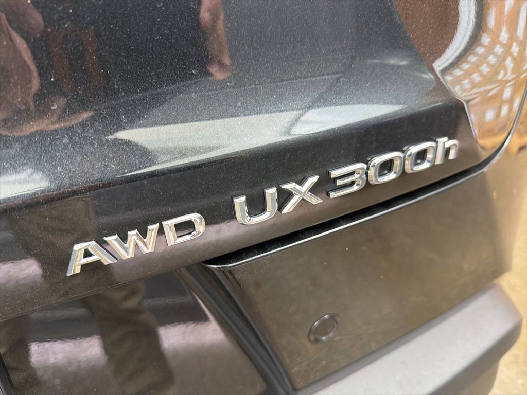 New 2026 Lexus UX 300h AWD image 19