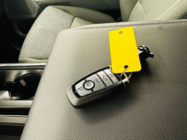 New 2025 Ford F150 XLT w/ Equipment Group 302A MID image 40