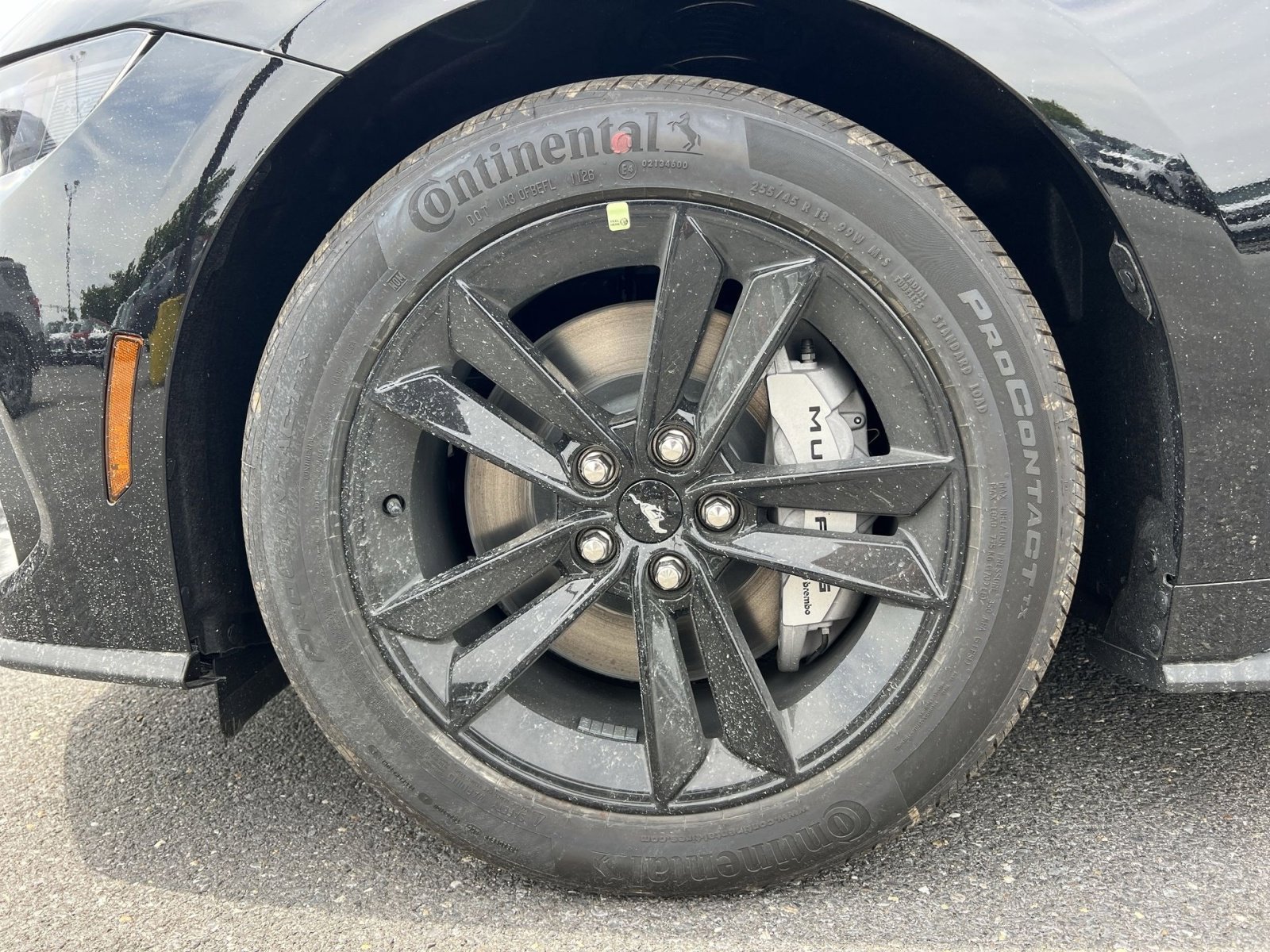 New 2026 Ford Mustang GT RWD image 12