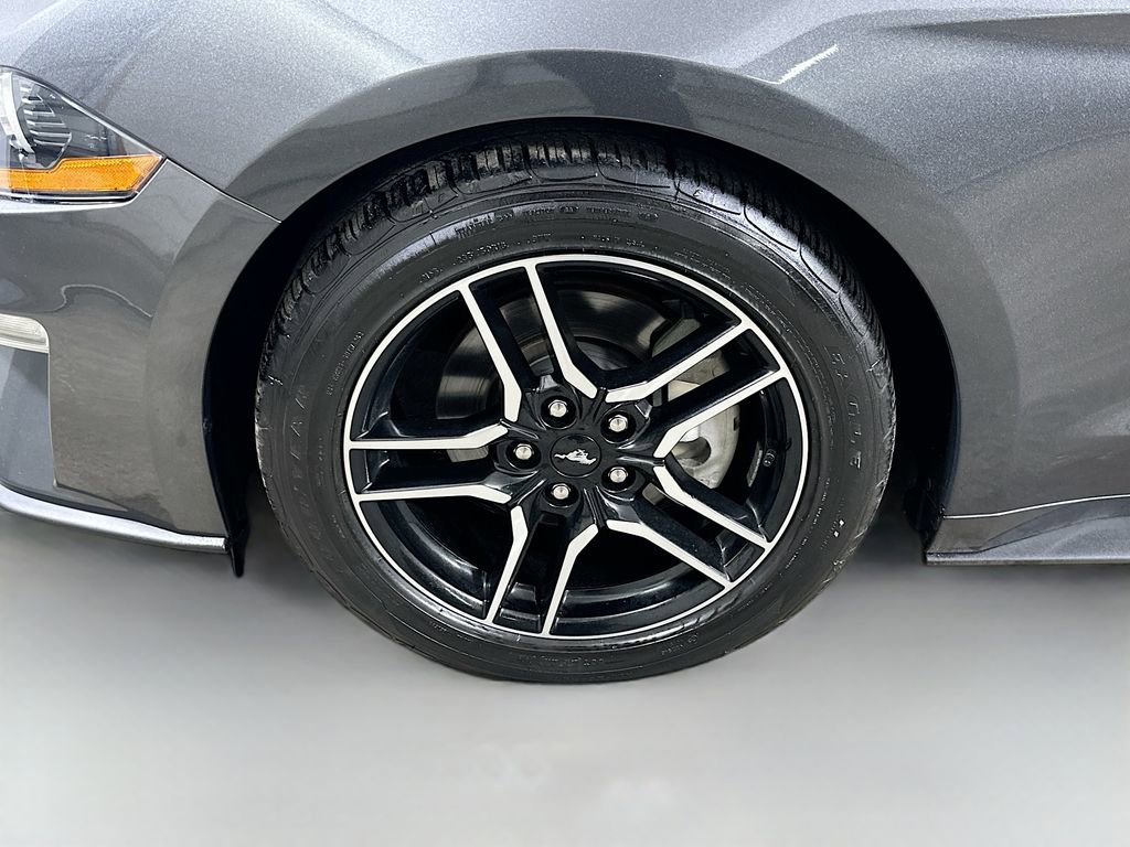 Used 2019 Ford Mustang Premium w/ Equipment Group 201A image 8