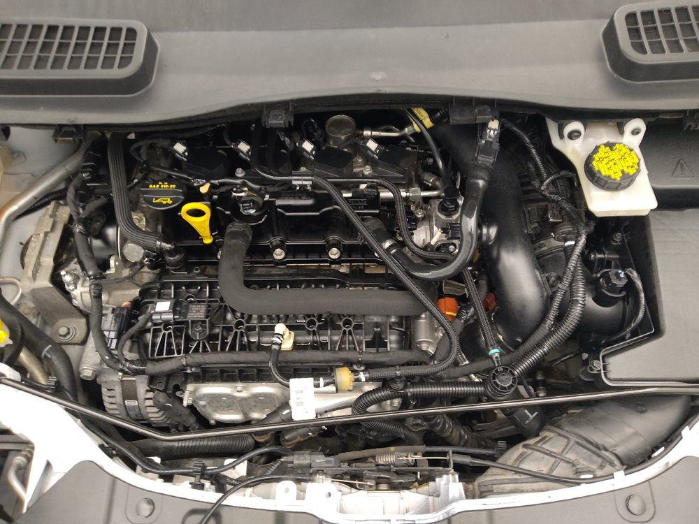Used 2019 Ford Escape SE FWD image 30