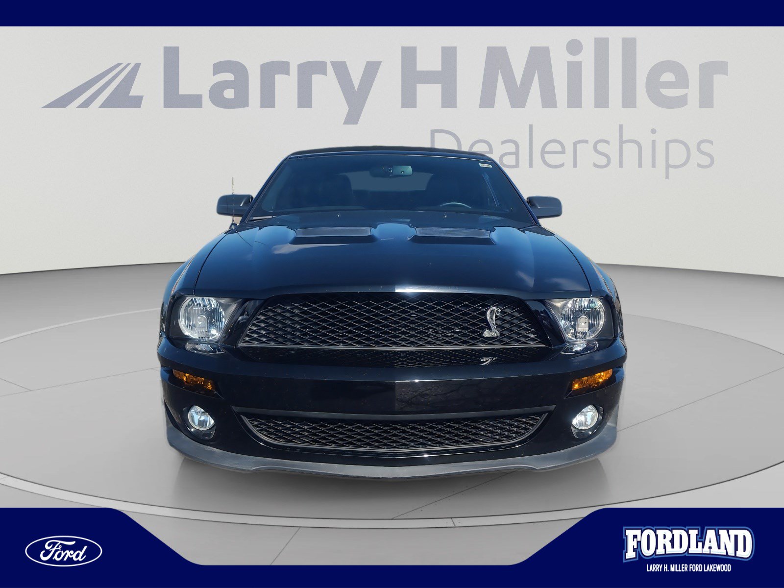 Used 2008 Ford Mustang Shelby GT500 RWD image 8