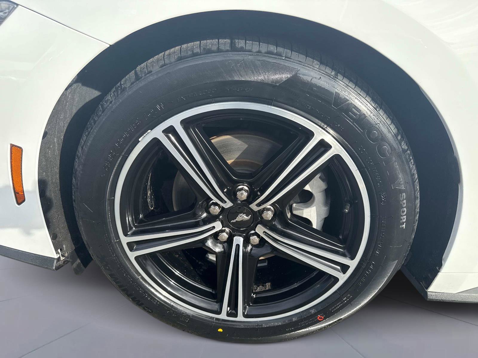 Used 2024 Ford Mustang Premium image 12