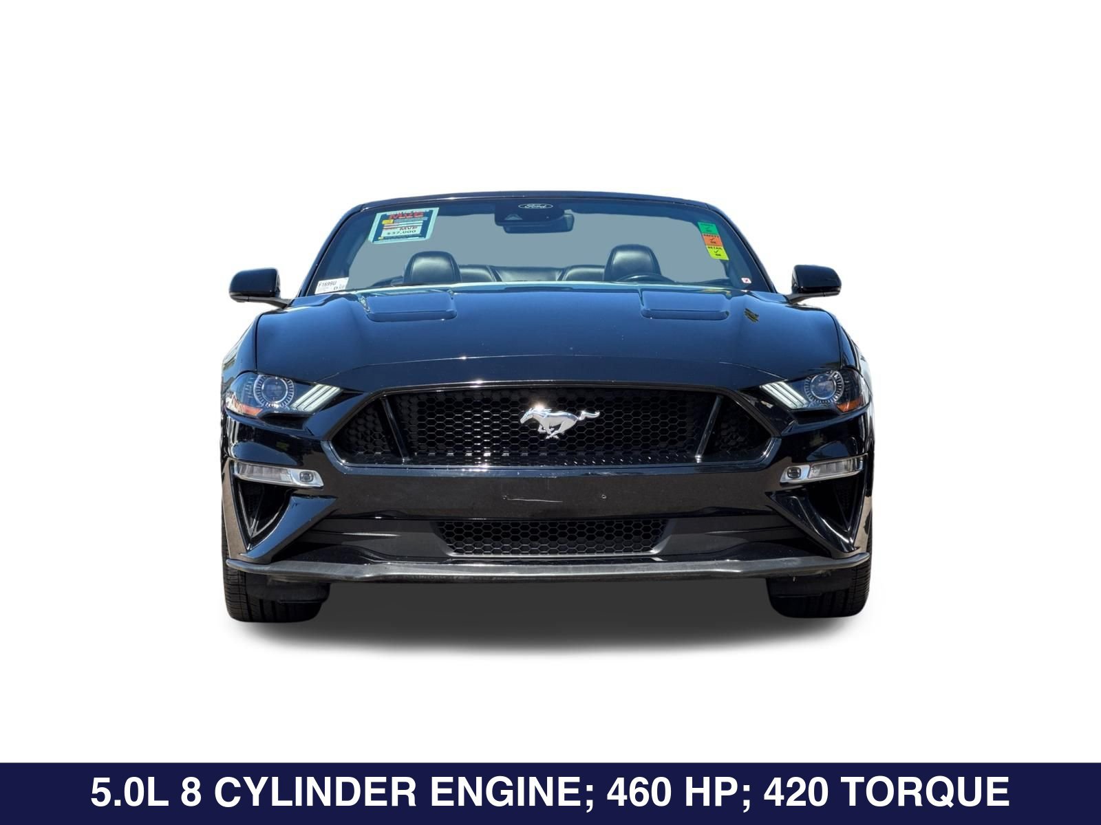 Used 2021 Ford Mustang GT Premium w/ Equipment Group 401A RWD image 10
