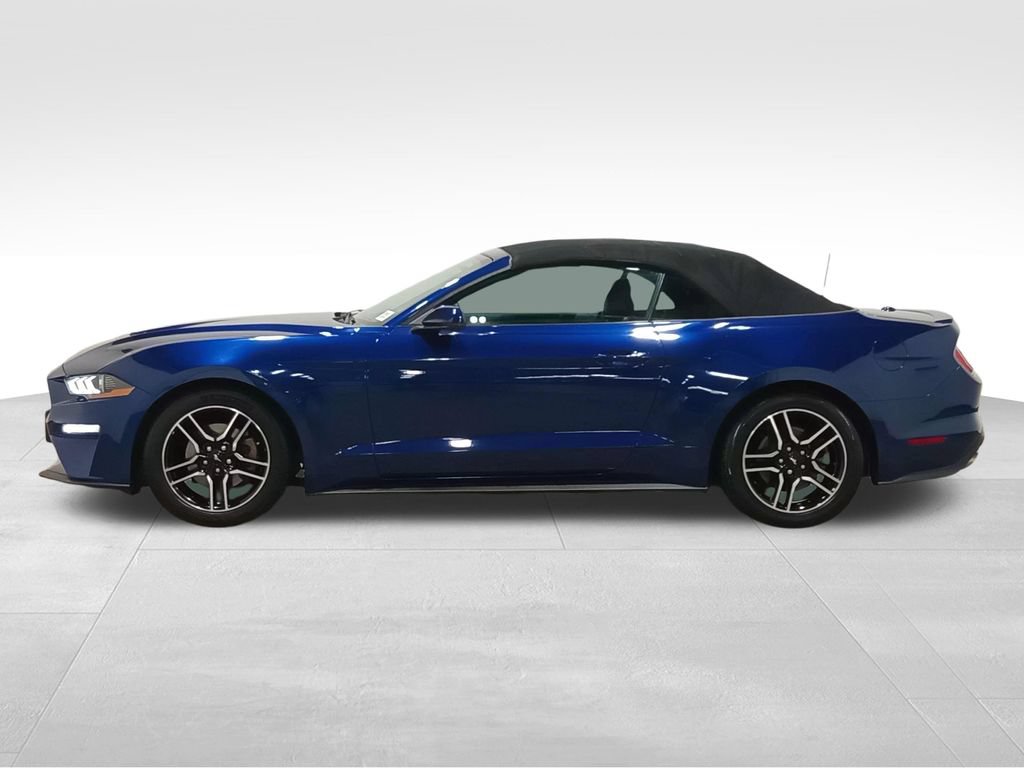 Used 2018 Ford Mustang Premium w/ Equipment Group 201A RWD image 9