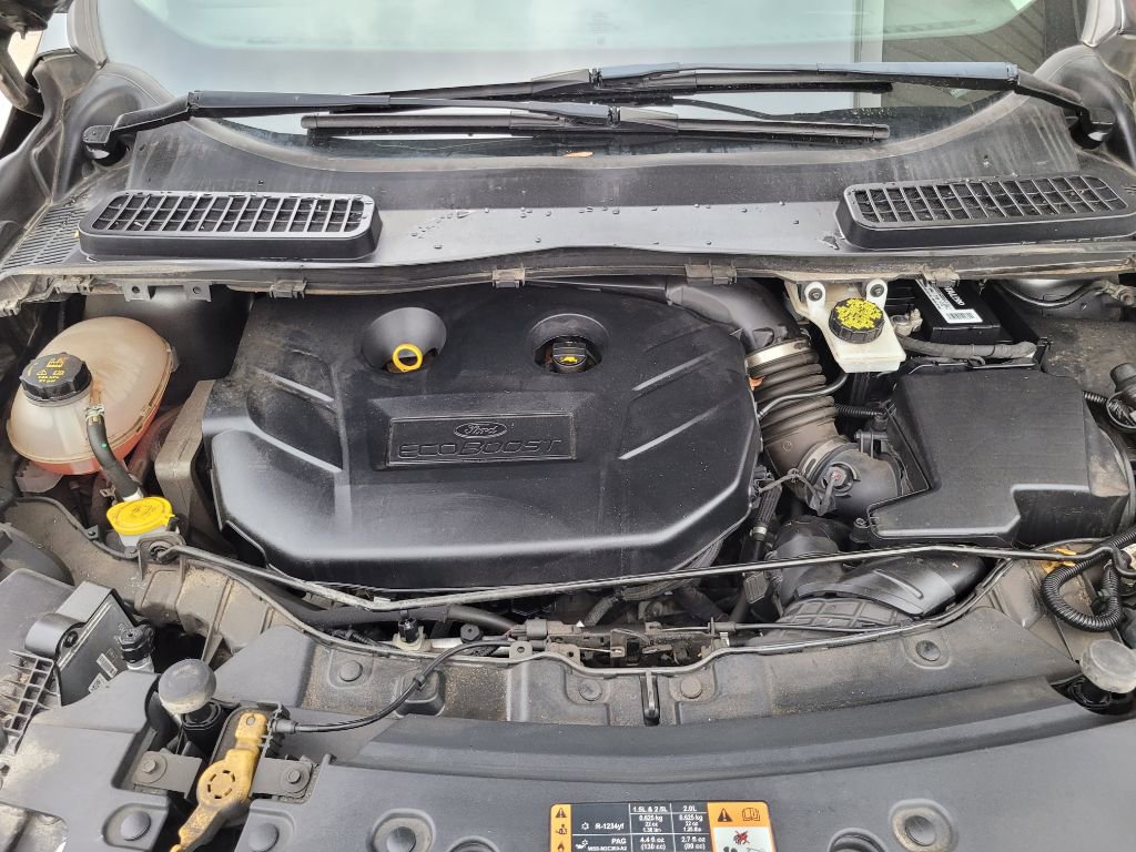 Used 2019 Ford Escape SEL image 55