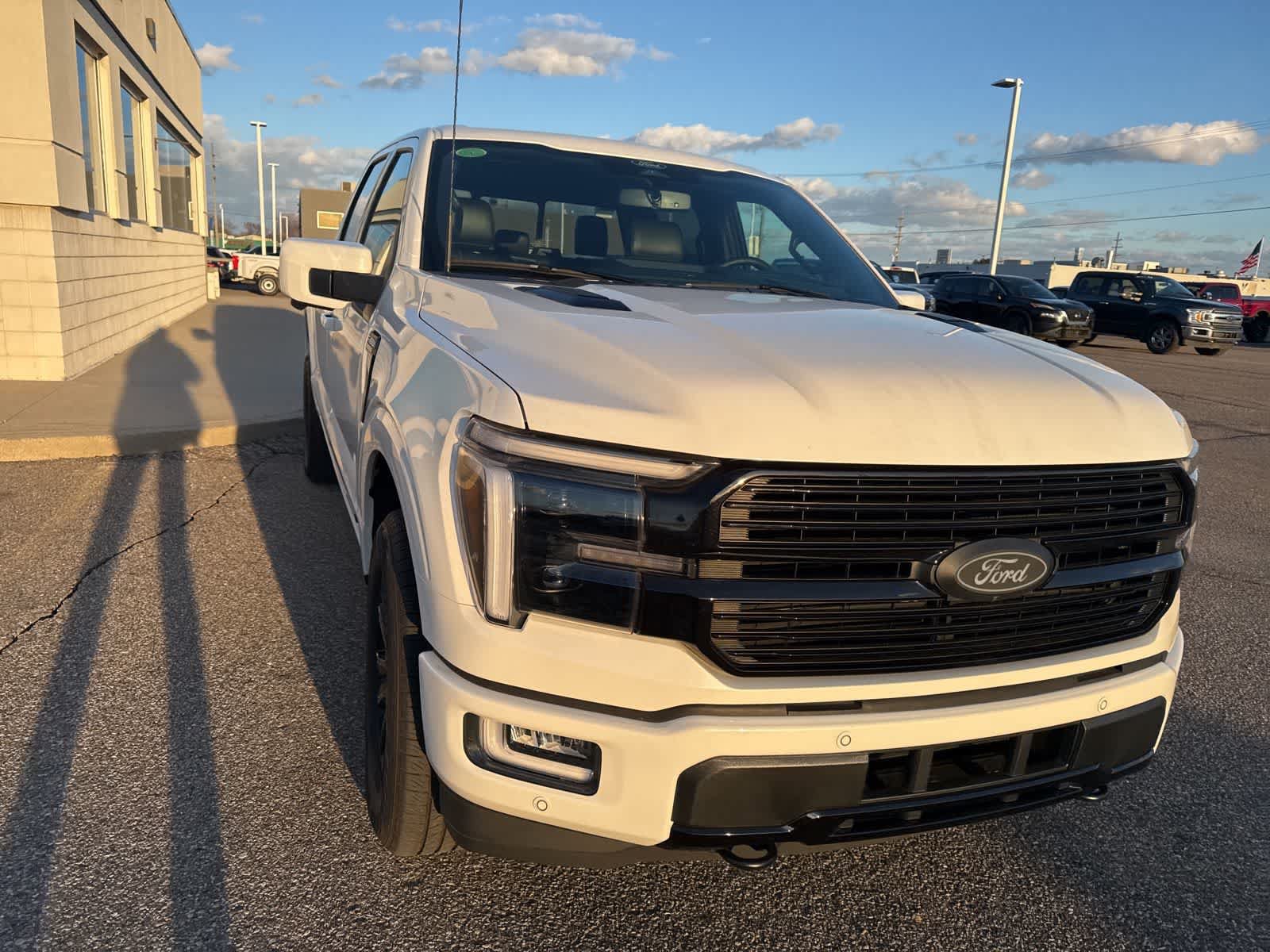 New 2026 Ford F150 Platinum w/ Equipment Group 702A High AWD/4WD image 20