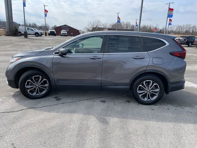 Used 2022 Honda CR-V EX-L image 5
