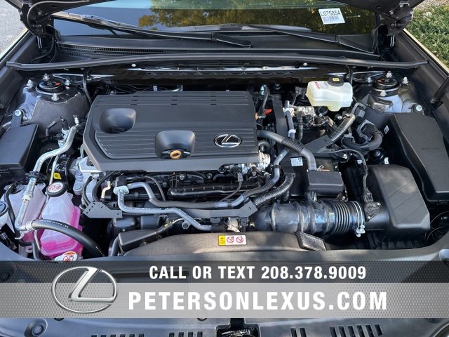 New 2025 Lexus ES 300h w/ Premium Package image 9