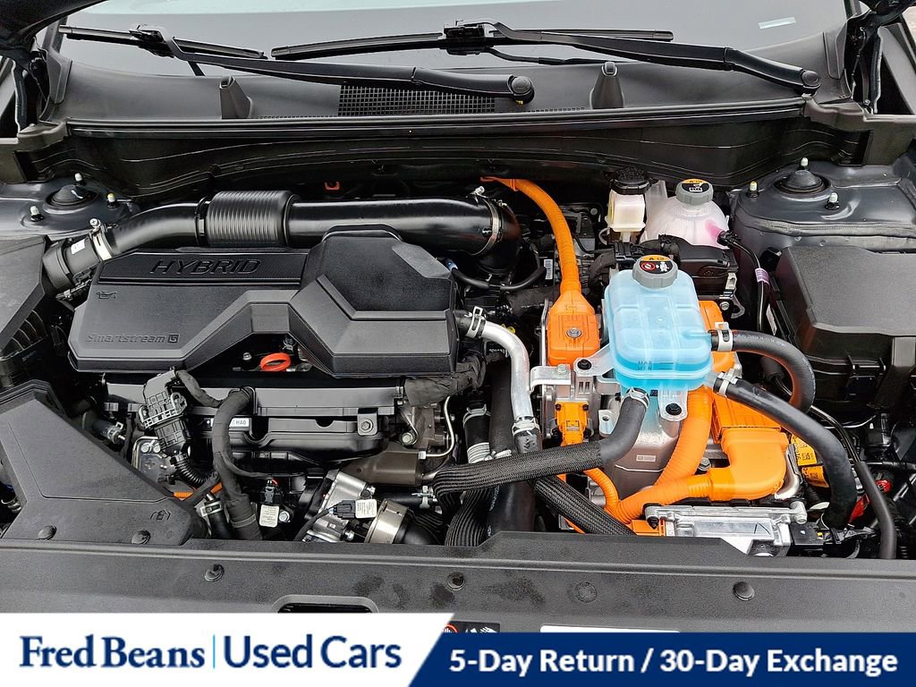 Used 2025 Kia Sportage X-Line image 28