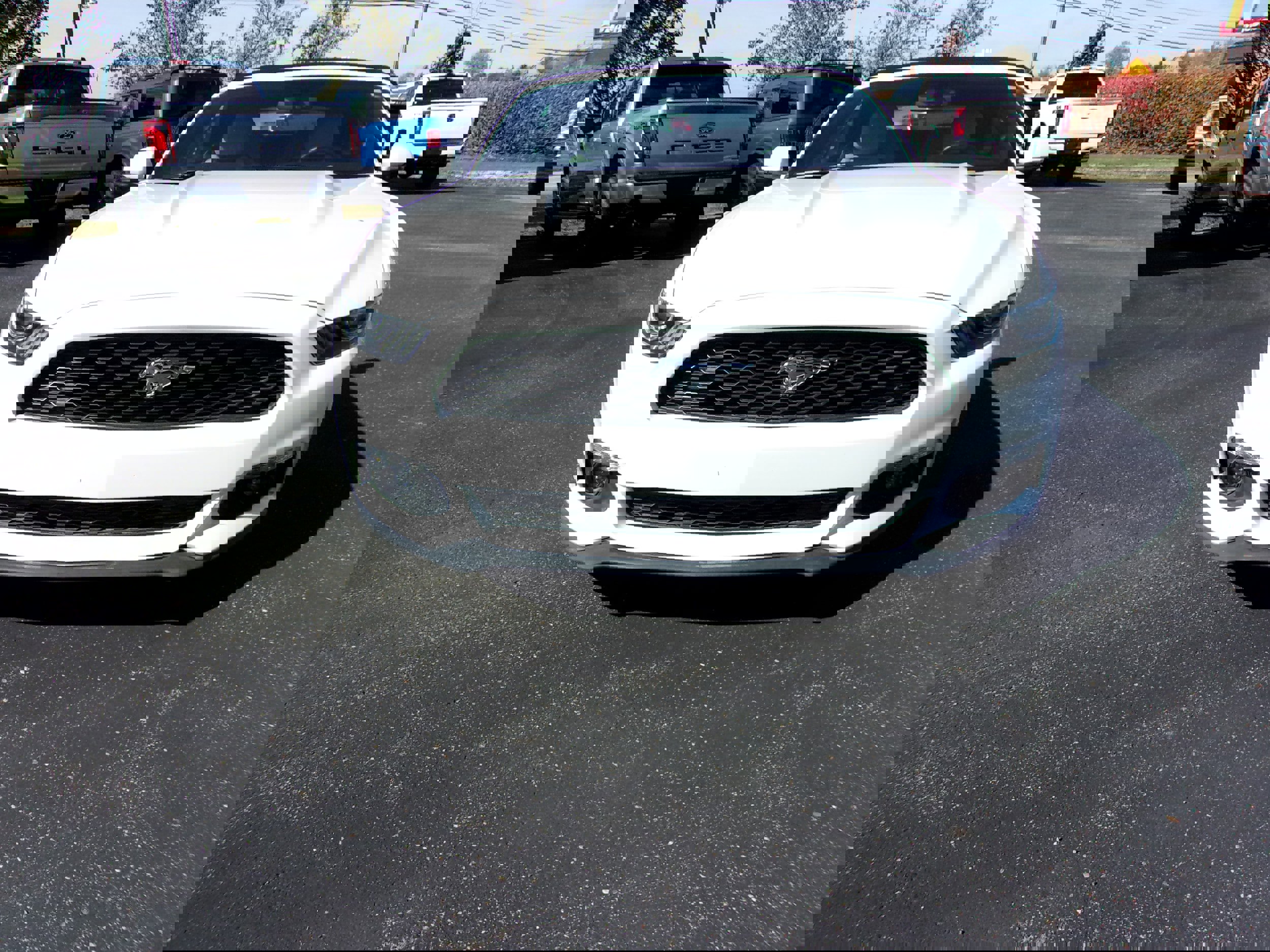 Used 2017 Ford Mustang Premium RWD image 8