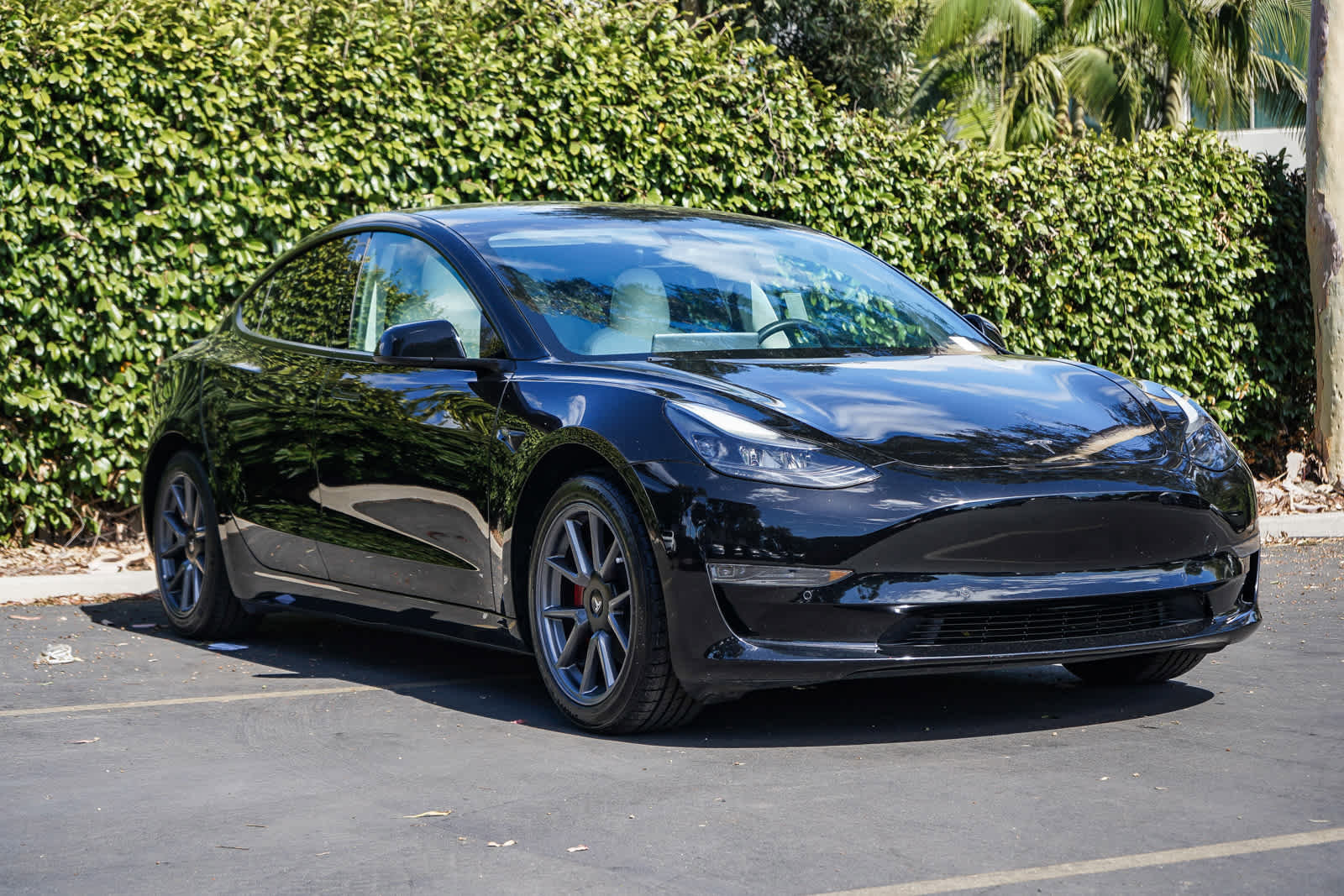 Used 2021 Tesla Model 3 Standard Range Plus RWD image 3