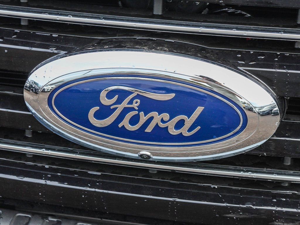 New 2026 Ford F250 Platinum image 5