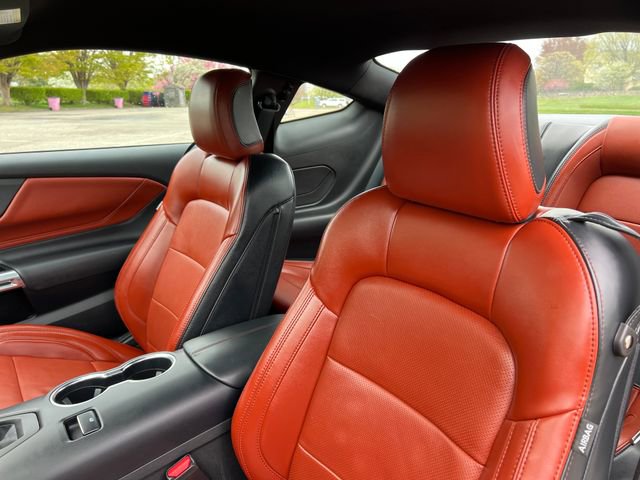 Used 2025 Ford Mustang GT Premium w/ Mustang Nite Pony Package RWD image 17