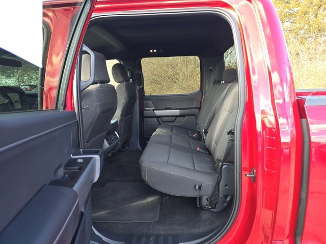 Used 2025 Ford F150 XLT w/ Equipment Group 301A Standard image 14