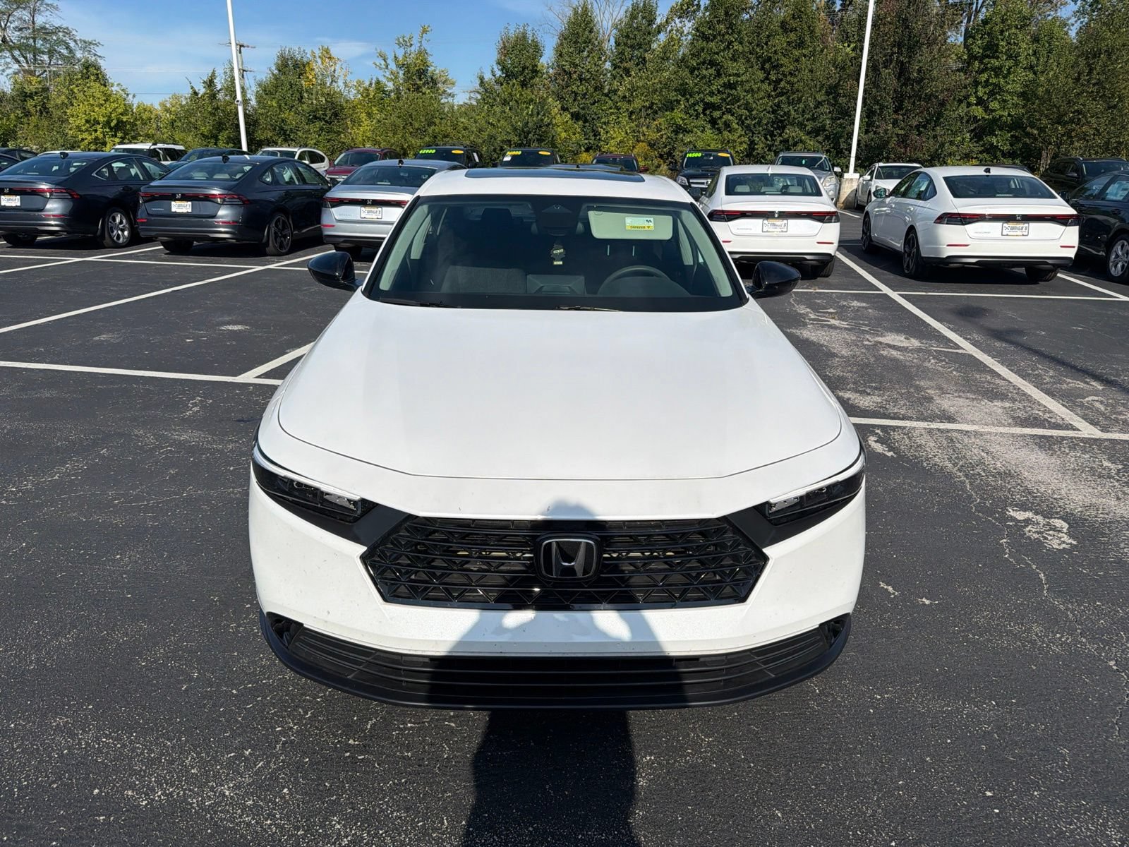 Used 2025 Honda Accord SE image 9