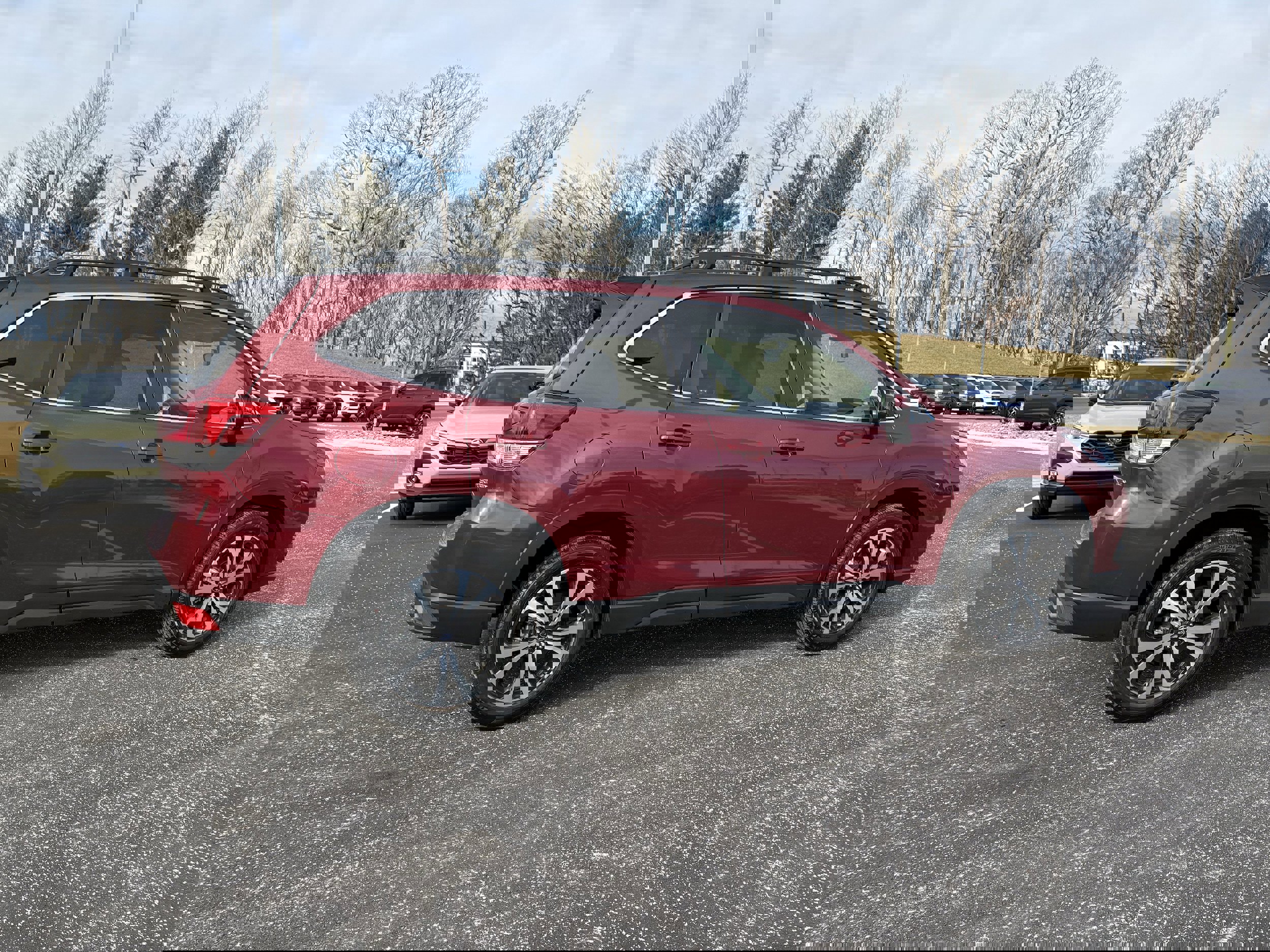 Certified 2024 Subaru Forester Limited image 8