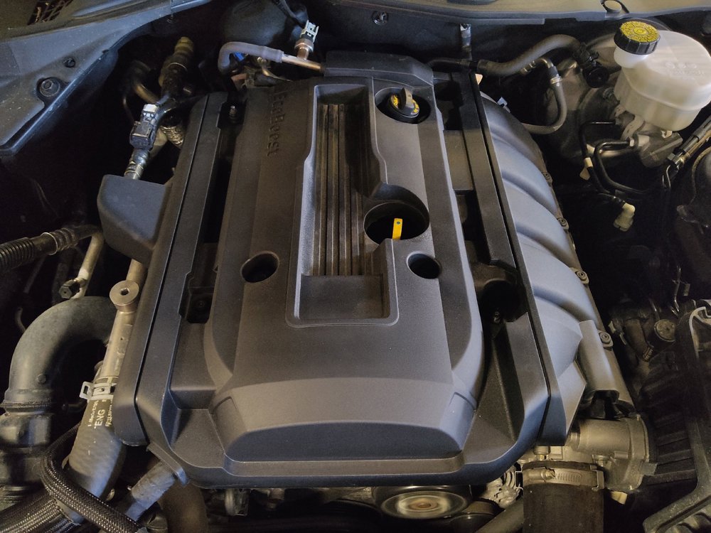 Used 2019 Ford Mustang Premium RWD image 30