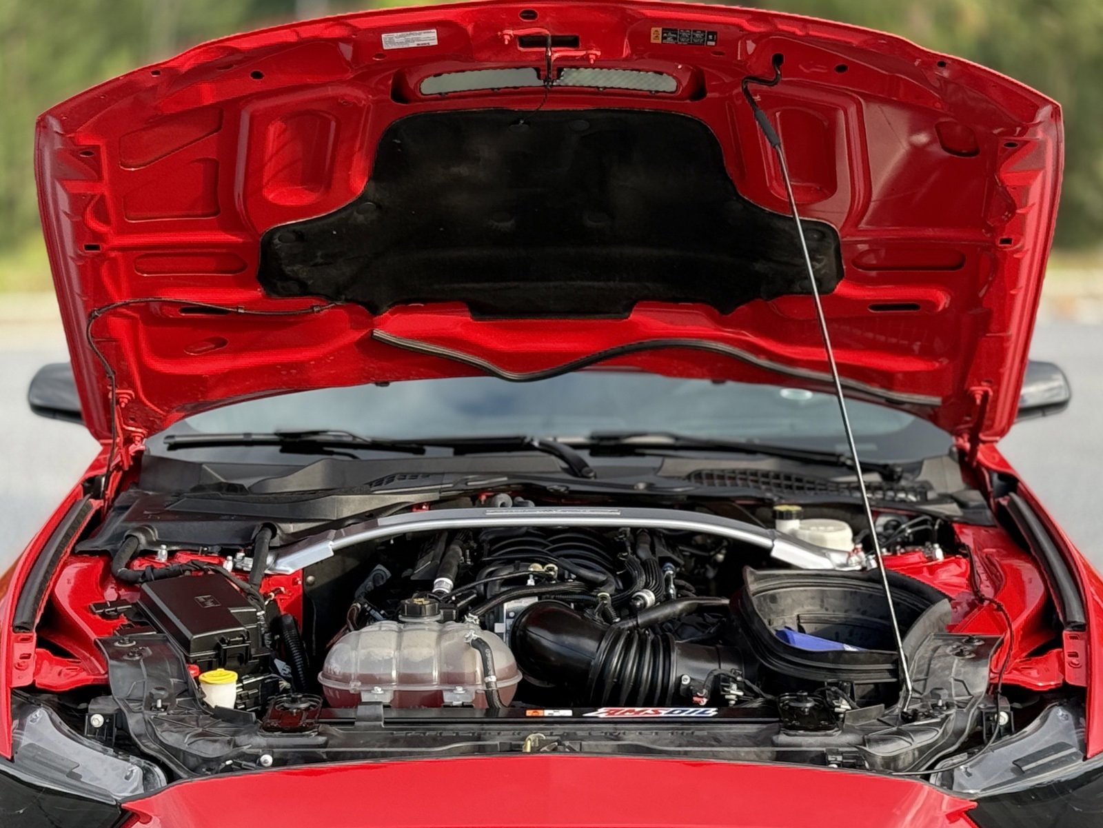 Used 2016 Ford Mustang Shelby GT350 w/ Track Package image 44