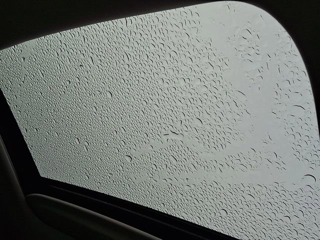 Certified 2024 Kia Seltos SX w/ SX Sunroof Package image 17