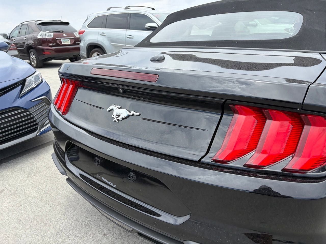 Used 2019 Ford Mustang Premium w/ Ecoboost Performance Package RWD image 4