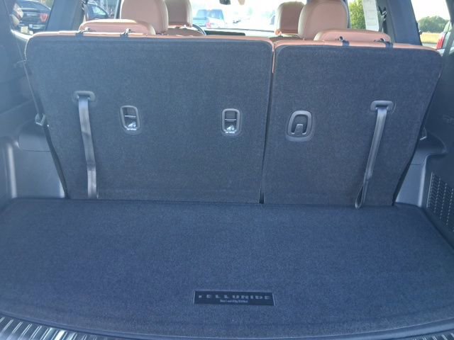 Used 2025 Kia Telluride SX X-Line image 9